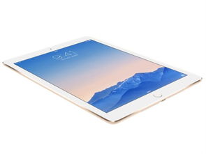 蘋(píng)果 iPad Air 2 平板電腦 A8X 處理器與蜂窩網(wǎng)絡(luò)加持的銀色經(jīng)典